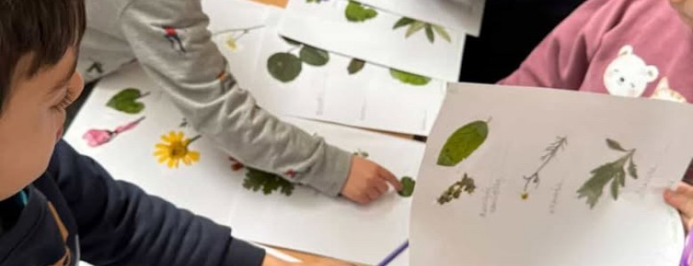 Σχολή Χατζήβεη - Φτιάχνοντας Φυτολόγιο - 19/3/2026