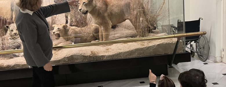 Σχολή Χατζήβεη - Μια Μέρα στο Μουσείο Φυσικής Ιστορίας - 30/4/2026