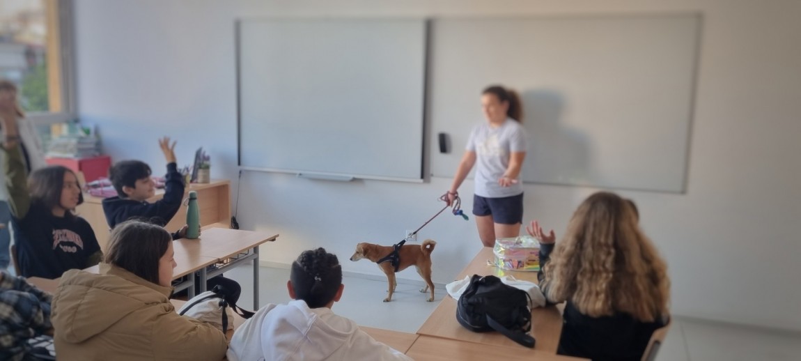 Σχολή Χατζήβεη - Ημέρα Σχολικής Φιλοζωίας - 4/4/2024