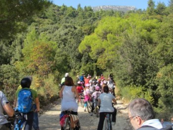 Ποδηλατική Εξόρμηση Στη Φύση