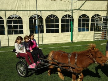Σχολή Χατζήβεη - Η Αξία Των Δημητριακών - 9/3/2018