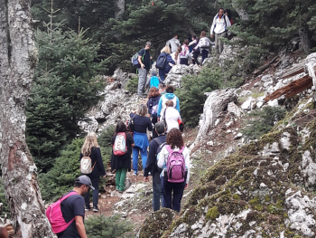 Σχολή Χατζήβεη - Εξόρμηση στην Πάρνηθα! - 7/11/2018