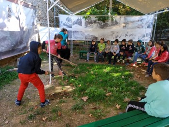 Σχολή Χατζήβεη - Στο Δάσος του Υμηττού! - 15/11/2018