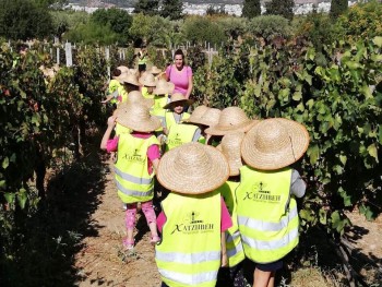 Σχολή Χατζήβεη - Από το Αμπέλι στο Κρασί - 25/9/2019