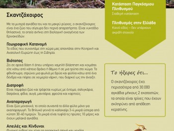 Σχολή Χατζήβεη - Γνωριμία με την Ανιμα - 11/5/2021