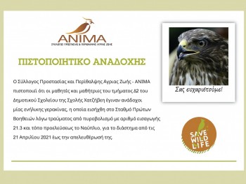 Σχολή Χατζήβεη - Γνωριμία με την Ανιμα - 11/5/2021