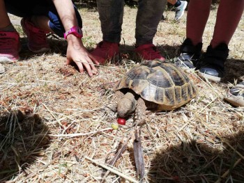 Σχολή Χατζήβεη - Μια μέρα στη Φύση - 19/5/2021
