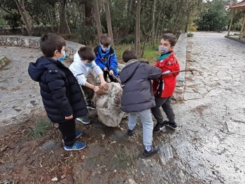 Σχολή Χατζήβεη - Ανακαλύψεις στο Δάσος! - 14/2/2022