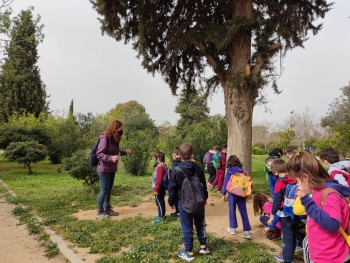 Σχολή Χατζήβεη - Μαθαίνουμε για τα Πουλιά - 4/4/2022