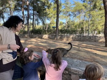 Σχολή Χατζήβεη - Φροντίζουμε Γατούλες - 30/11/2022