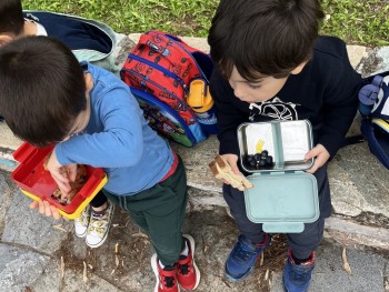 Σχολή Χατζήβεη - Ποτίζοντας τα Δέντρα - 3/11/2025 Σχολή Χατζήβεη - Ποτίζοντας τα Δέντρα - 3/11/2025