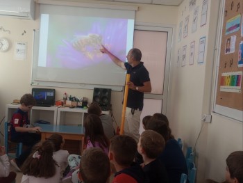 Σχολή Χατζήβεη - Στον Μαγικό Κόσμο της Μέλισσας - 3/11/2025 Σχολή Χατζήβεη - Στον Μαγικό Κόσμο της Μέλισσας - 3/11/2025