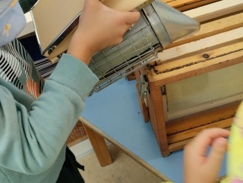 Σχολή Χατζήβεη - Στον Μαγικό Κόσμο της Μέλισσας - 3/11/2025 Σχολή Χατζήβεη - Στον Μαγικό Κόσμο της Μέλισσας - 3/11/2025