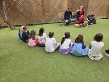 Σχολή Χατζήβεη - Γνωρίζοντας έναν Σκύλο-Οδηγό - 11/11/2025 Σχολή Χατζήβεη - Γνωρίζοντας έναν Σκύλο-Οδηγό - 11/11/2025