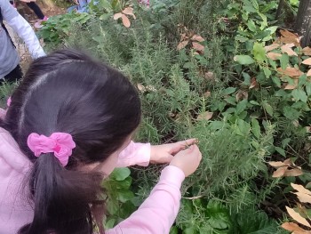 Σχολή Χατζήβεη - Στο Φαρμακείο της Φύσης - 24/11/2025