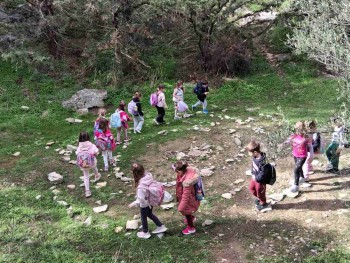 Σχολή Χατζήβεη - Στο Φαρμακείο της Φύσης - 24/11/2025