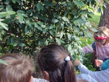 Σχολή Χατζήβεη - Στο Φαρμακείο της Φύσης - 24/11/2025