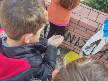 Σχολή Χατζήβεη - Δεντρολιχουδιές για τα Ζώα του Άλσους - 10/12/2025