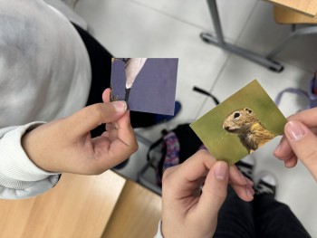 Σχολή Χατζήβεη - Ο Οργανισμός Ανιμα στο Σχολείο - 13/2/2026