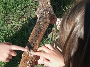 Σχολή Χατζήβεη - Μάρτης στο Σχολείο της Φύσης - 6/3/2026