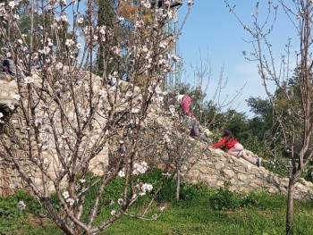 Σχολή Χατζήβεη - Μάρτης στο Σχολείο της Φύσης - 6/3/2026