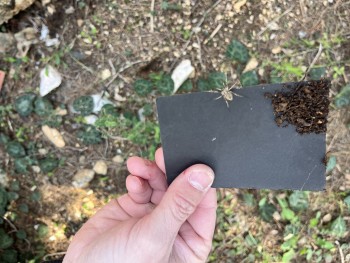 Σχολή Χατζήβεη - Δράση: Μια Κυριακή στην Πάρνηθα - 10/3/2026