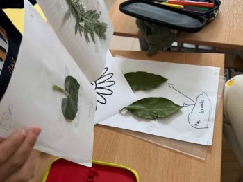 Σχολή Χατζήβεη - Φτιάχνοντας Φυτολόγιο - 19/3/2026