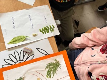 Σχολή Χατζήβεη - Φτιάχνοντας Φυτολόγιο - 19/3/2026