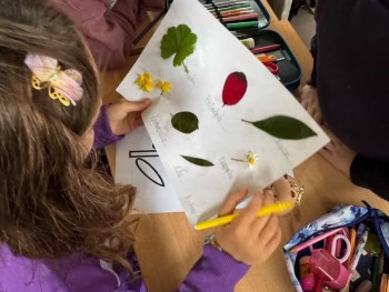 Σχολή Χατζήβεη - Φτιάχνοντας Φυτολόγιο - 19/3/2026