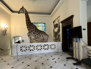 Σχολή Χατζήβεη - Μια Μέρα στο Μουσείο Φυσικής Ιστορίας - 30/4/2026